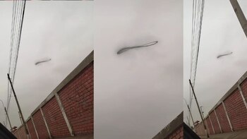 La extraña figura en el