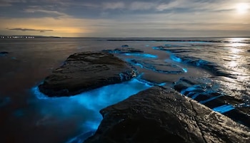 Laguna Luminosa (Jamaica)