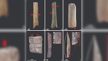 Algunas puntas de flecha mostraban