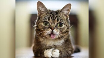 En la Ciudad de México