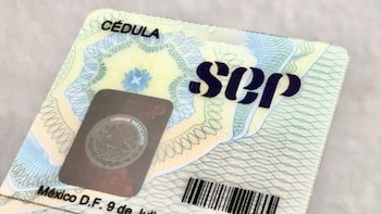 Professional ID: requirements, cost and