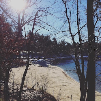 Foto de la laguna Walden