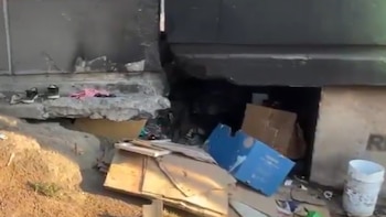 detención perros comida indigente CDMX