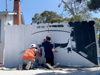 El proyecto de la valla