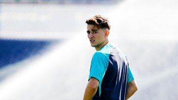 Gavi hace parte del trabajo