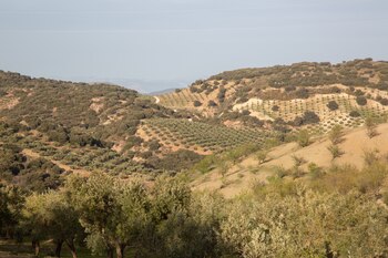 Parque Natural de Sierra Mágina,