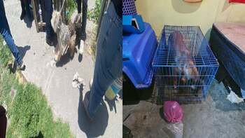 El rescate se llevó a