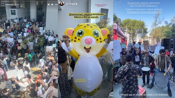 Historias de instagram compartidas por la organización Selvame.Mx