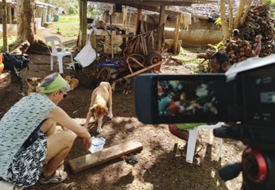 Los cazadores de Vanuatu alcanzaron un 81,7% de acierto al descifrar las señales que sus animales emitían sobre la presencia de comida (Crédito: Gentileza, estudio: Sorprendentes similitudes globales en las interacciones entre perros y humanos, publicado en Nature)