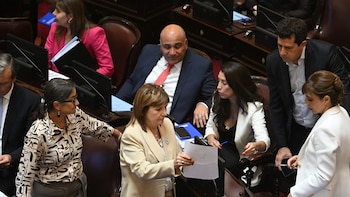 Extraordinarias: el Senado deberá integrar