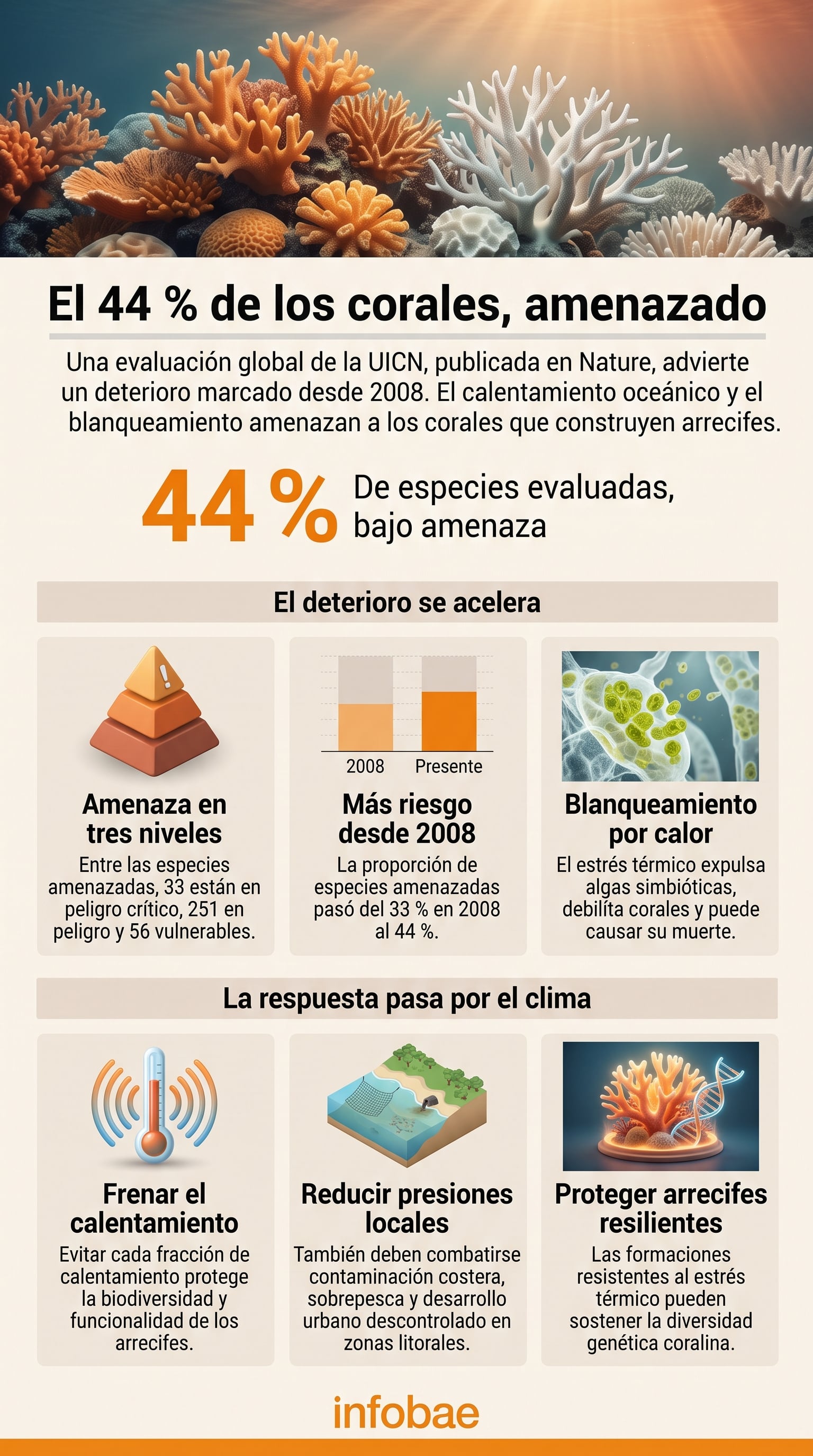 El análisis global de la UICN sintetiza el aumento del riesgo de extinción para el 44 % de las especies de corales constructores de arrecifes ante el calentamiento oceánico (Imagen Ilustrativa Infobae)