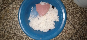 Almuerzo Las Mangas, Bayamo - Febrero 2026