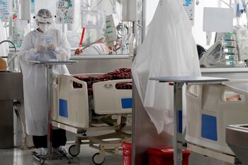 La carrera de medicina destaca