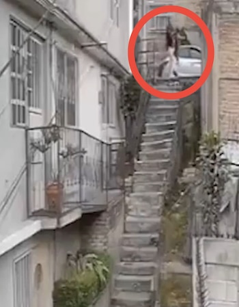 Las autoridades compartieron imágenes del