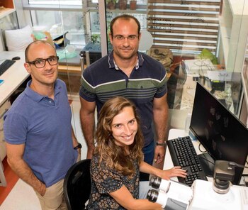 (izq.) Dr. Filipe Natalio, Dr. Ido Azuri y Zane Stepka (Instituto Weizmann)
