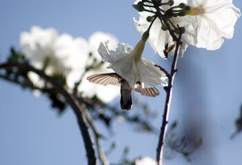 FOTO: MARGARITO PÉREZ RETANA /CUARTOSCURO