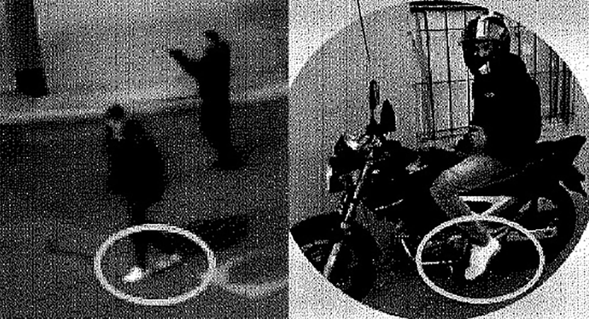 Verón, reconocido por sus zapatillas en la comparación de imágenes.