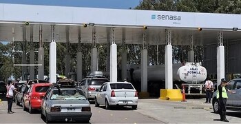 La competitividad patagónica depende, en gran medida, de conservar un estatus sanitario que le permite acceder a mercados internacionales de alta exigencia (Foto: SENASA)