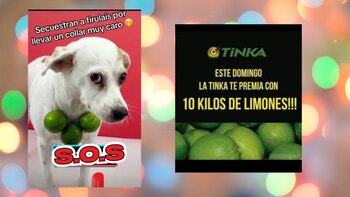 Usuarios de redes sociales crearon