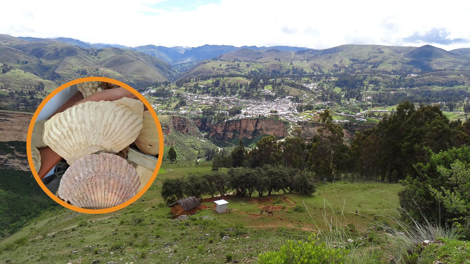 Composición: Infobae Perú