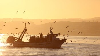 La UE y Albania establecen su primera zona restringida de pesca para proteger la biodiversidad