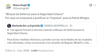 La actriz Diana Ángel cuestionó el impacto del decreto de Abelardo de la Espriella para el país - crédito @DianAngel01/X