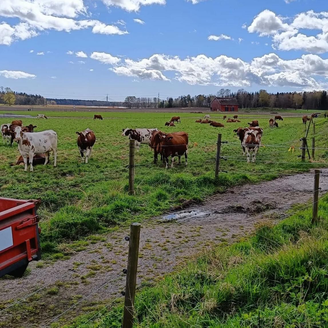 El rechazo de la Confederación de Asociaciones Rurales de Buenos Aires y La Pampa (CARBAP) fue inmediato