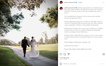 Pedro Suárez Vértiz se refirió