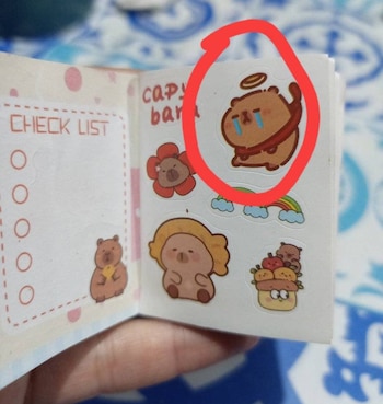 Estas son las ilustraciones que