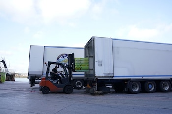 Un trabajador carga pescado en