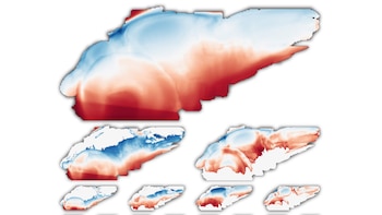 En el cerebro del pez
