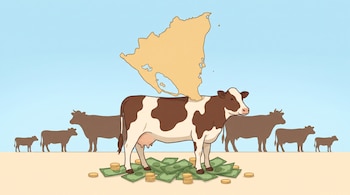 Ilustración de un mapa beige de Nicaragua sobre el lomo de una vaca marrón y blanca. La vaca se alza sobre billetes verdes y monedas. Siluetas de vacas y terneros al fondo.