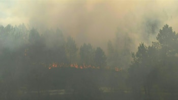 El cambio climático provoca una