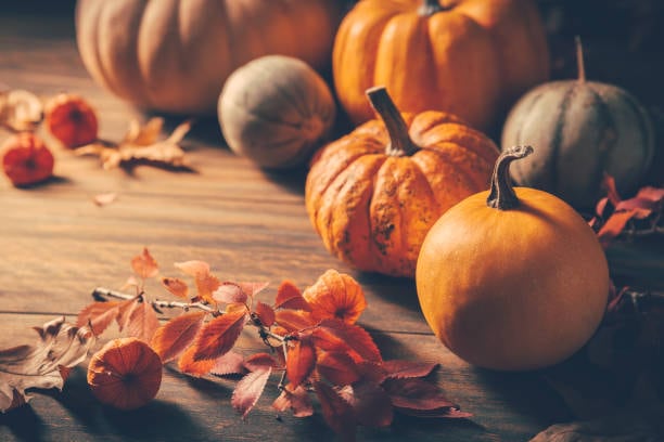 La llegada del otoño influye en muchos aspectos en la vida diaria. Foto: (iStock)