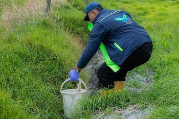 Un hombre con gorra, chaqueta azul y botas amarillas sostiene un cubo de plástico sobre una zanja con agua entre pastizal