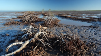 Científicos y comunidades costeras alertan