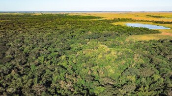 Un nuevo informe de la