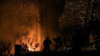Miembros del Gobierno dicen que