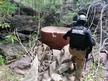 En los decomisos participaron agentes