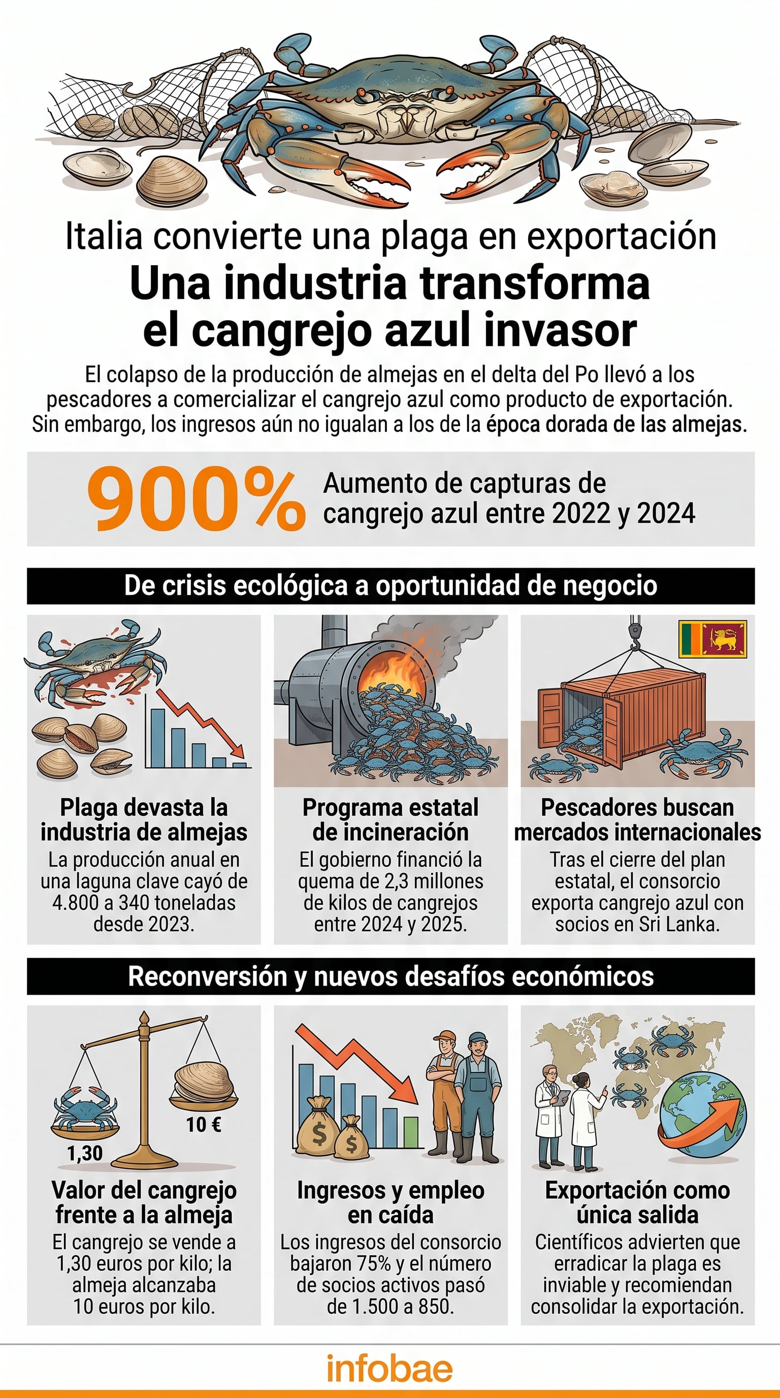 La industria pesquera de Italia transforma la plaga del cangrejo azul en un producto de exportación tras el colapso de la producción de almejas en el delta del Po (Imagen Ilustrativa Infobae)