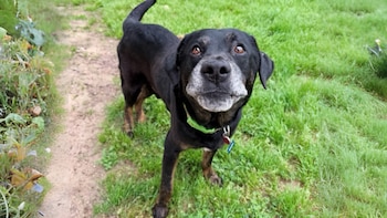 La historia cobró visibilidad cuando