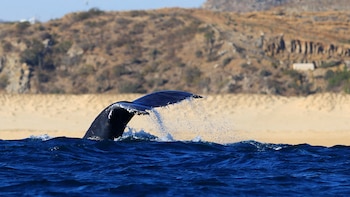 Este es el destino turístico
