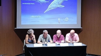 Investigadores documentan por primera vez fuera del Reino Unido un ictiosaurio del Jurásico hallado en Asturias