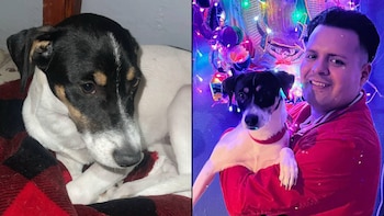 El día que Snoopy el