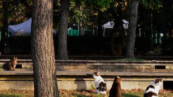 La politóloga y el biólogo