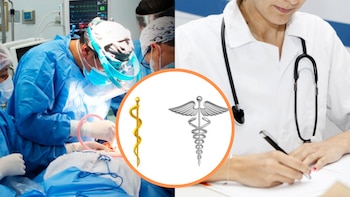 Día Mundial de la Salud: