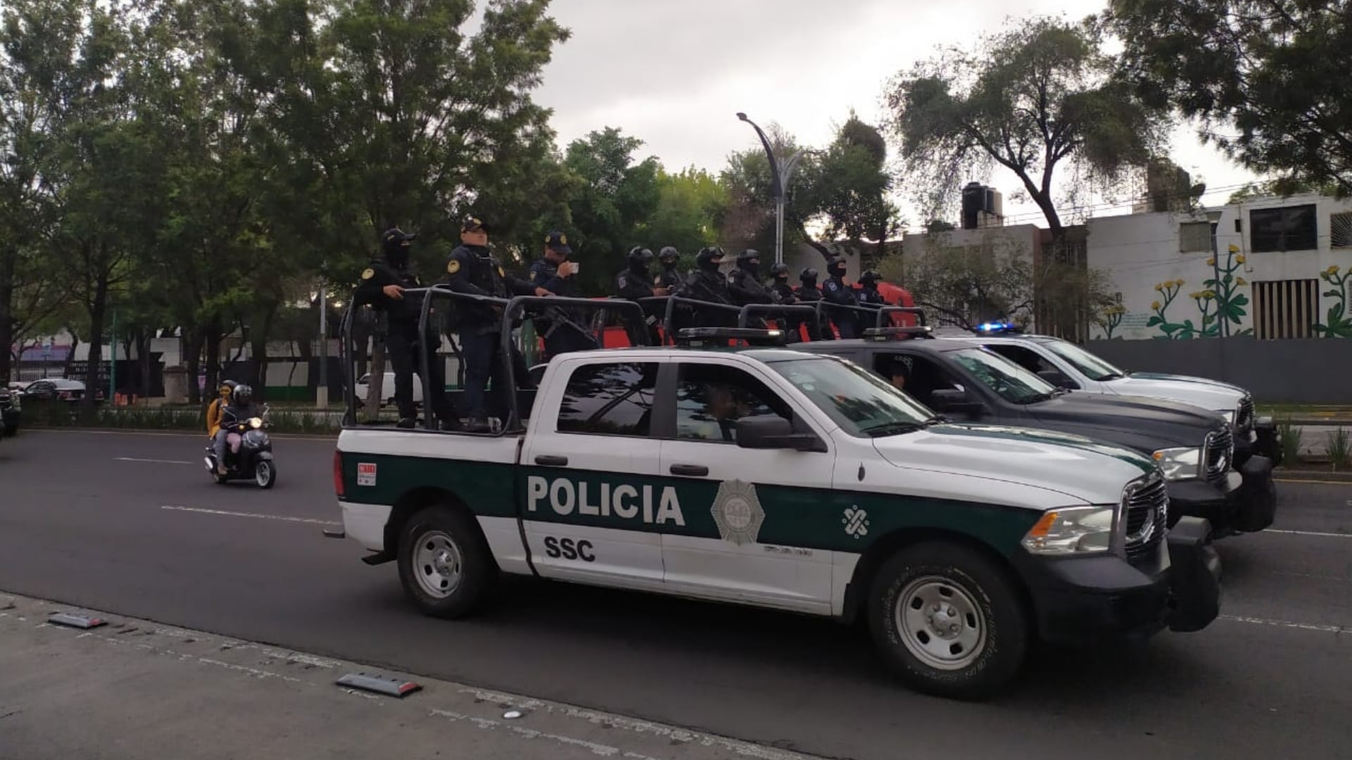 La SSC mantiene operativos a favor de los animales en la capital. (Infobae México/Jenifer Nava)