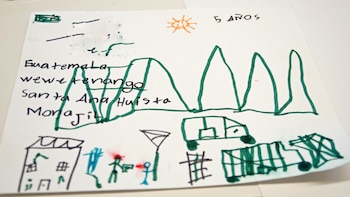 Senadores demócratas piden a Trump