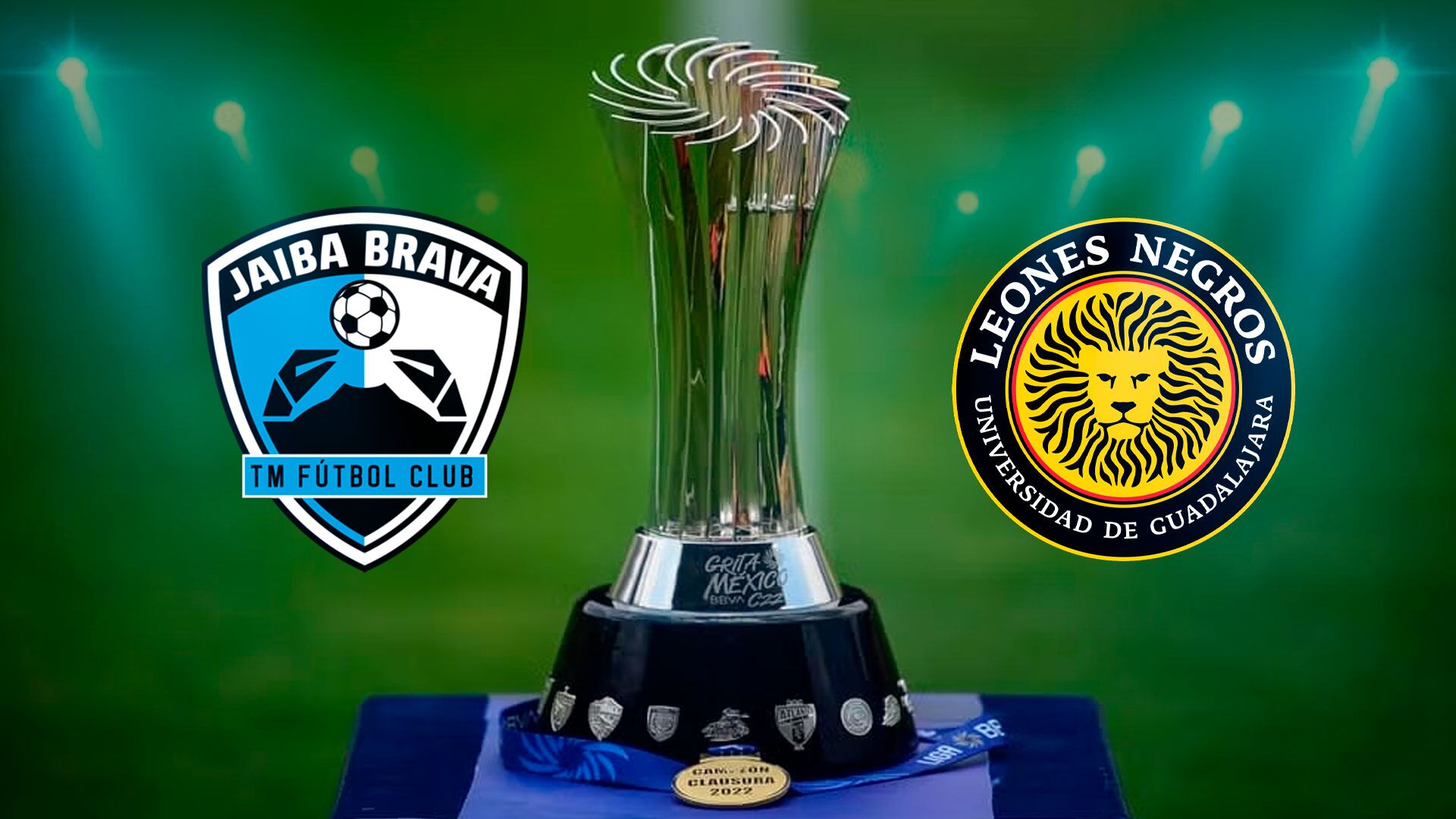 La Jaiba Brava y los Leones Negros definirán al nuevo monarca de la ‘Liga de Plata’. (Jovani Pérez)