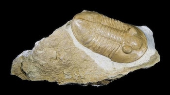Rocas de Sudáfrica revelaron el ciclo que ayudó a la Tierra a conservar oxígeno